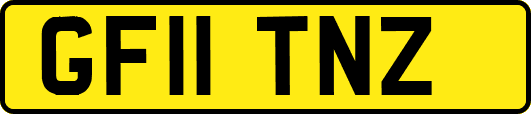 GF11TNZ