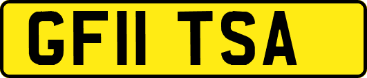 GF11TSA