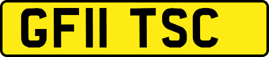 GF11TSC