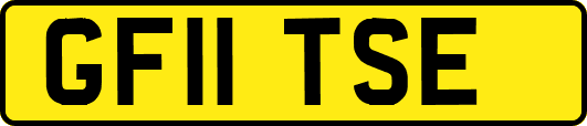 GF11TSE