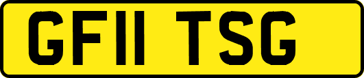 GF11TSG