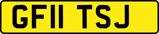 GF11TSJ
