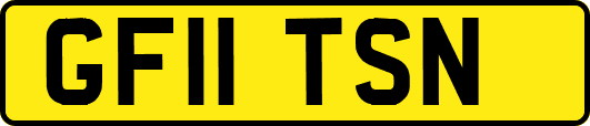 GF11TSN