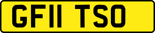 GF11TSO