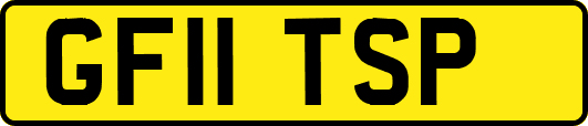 GF11TSP