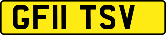 GF11TSV