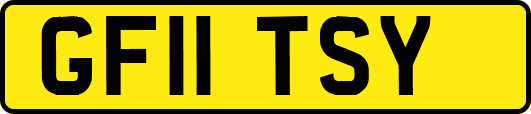 GF11TSY