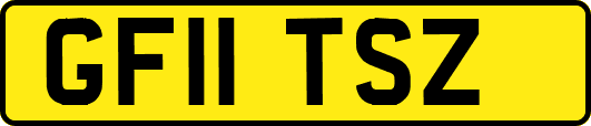 GF11TSZ