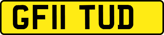 GF11TUD