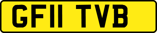 GF11TVB
