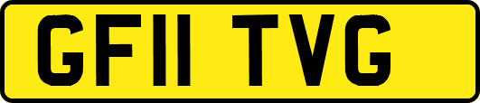 GF11TVG