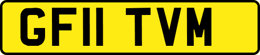 GF11TVM