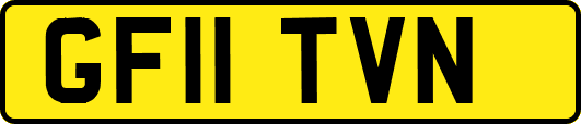 GF11TVN