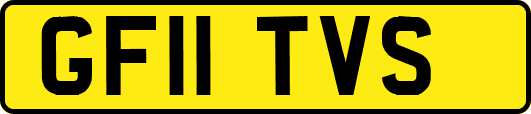 GF11TVS