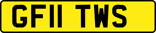 GF11TWS