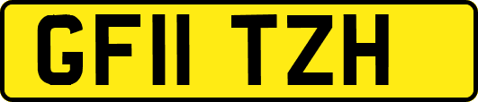 GF11TZH