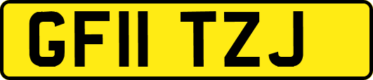 GF11TZJ