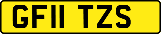 GF11TZS