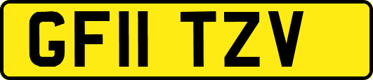 GF11TZV