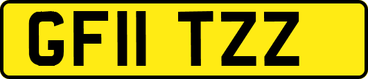 GF11TZZ