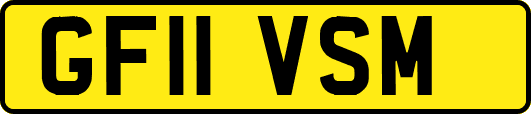 GF11VSM