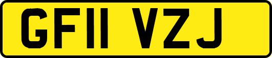 GF11VZJ