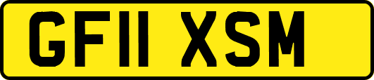 GF11XSM