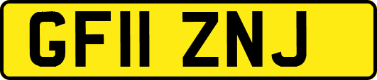 GF11ZNJ