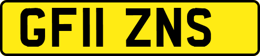 GF11ZNS