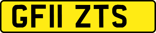 GF11ZTS