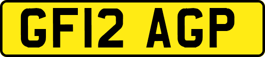 GF12AGP
