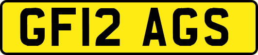 GF12AGS