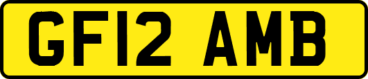 GF12AMB