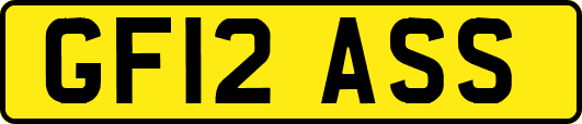 GF12ASS