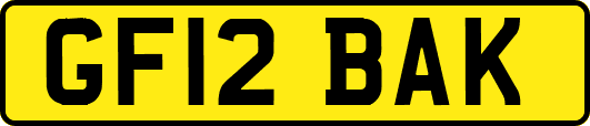 GF12BAK