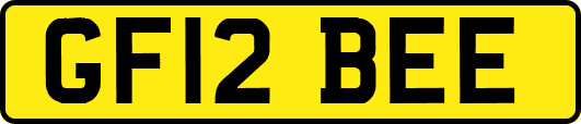 GF12BEE