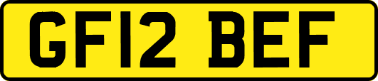 GF12BEF
