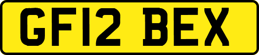 GF12BEX