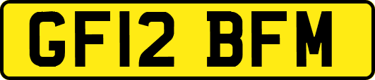 GF12BFM