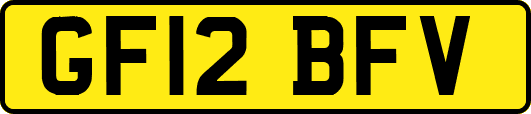 GF12BFV