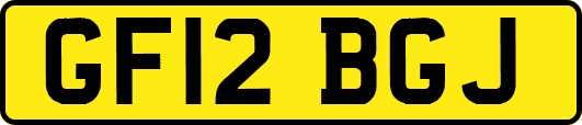 GF12BGJ