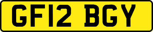 GF12BGY
