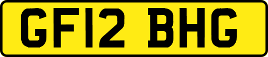 GF12BHG