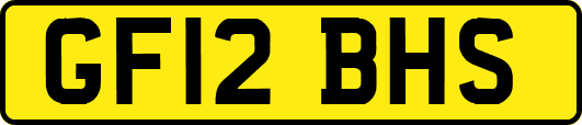 GF12BHS