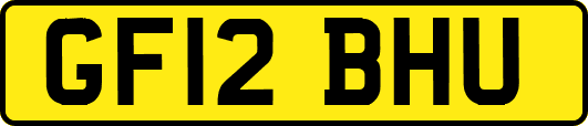 GF12BHU