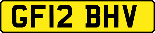 GF12BHV