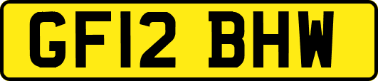 GF12BHW