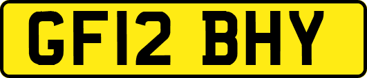 GF12BHY