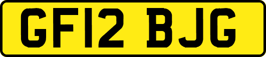 GF12BJG