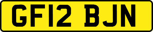 GF12BJN